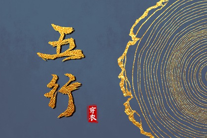 借卵代孕|借卵代孕服务|借卵代孕咨询